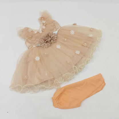Imported Fancy Princess Frocks 4